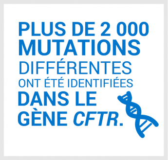 Plus de 2 000 mutations différentes ont été identifiées dans le gène CFTR.